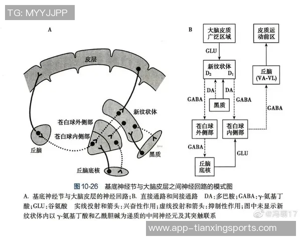 卡恩谈纳格尔斯曼的执教风格与性格特点引发的争议与思考 卡恩谈纳格尔斯曼的执教风格与性格特点引发的争议与思考