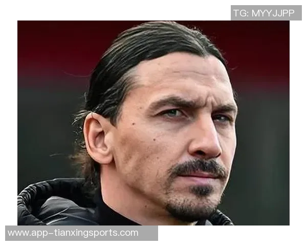 AC米兰未考虑41岁中卫弟媳冬窗回归的可能性