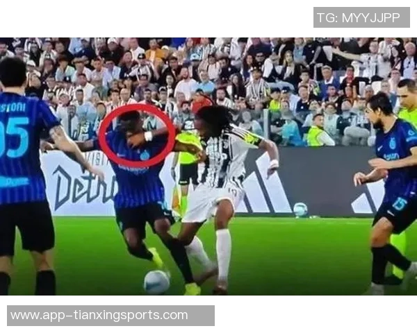 裁判专家指出国米应获点球紫百合后卫存在明显拉拽行为 裁判专家指出国米应获点球紫百合后卫存在明显拉拽行为