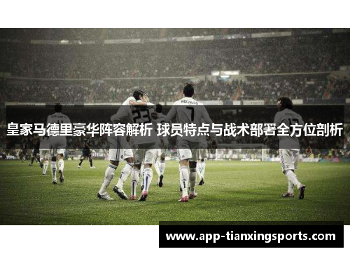 皇家马德里豪华阵容解析 球员特点与战术部署全方位剖析